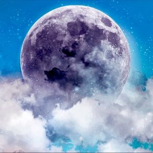 Meet your Posher, Kat